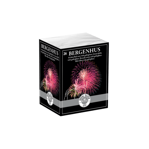 Batteri sortiment - 4 stk - Total NEM 965g